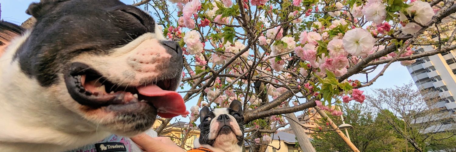 つぶやきパンダ banner