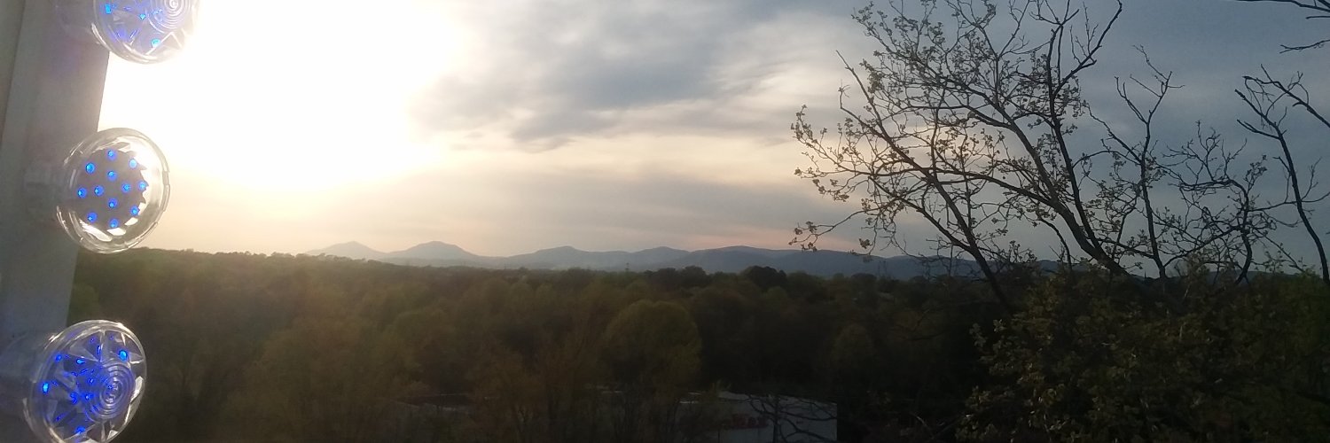 YellowWhiteR0se's profile banner image