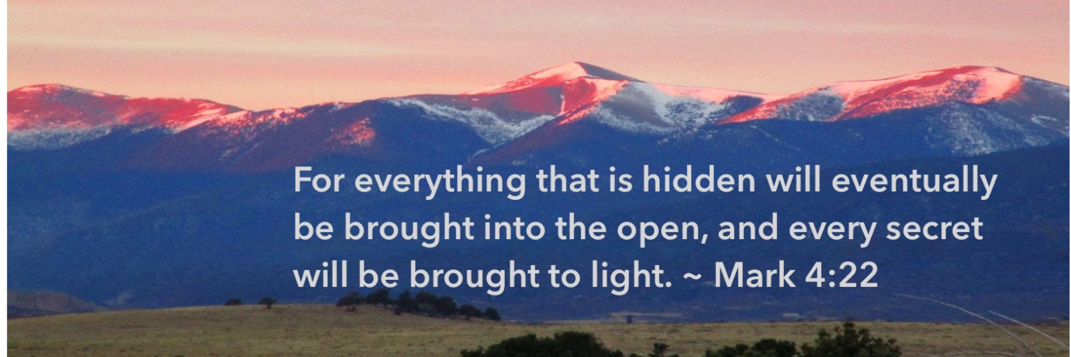 Jan Evelyn ✝️📖🌻Never Give Up!🤺🇺🇸America First's banner