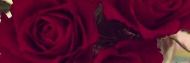bradleysw2's profile banner image