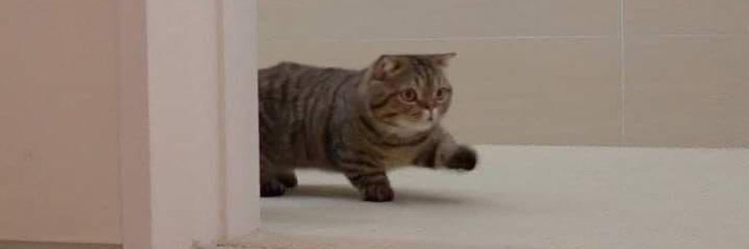 น้องลูกฟูก banner