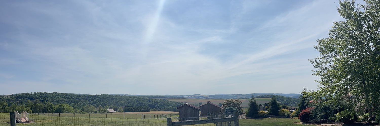 Dr Anne Marie Morse banner