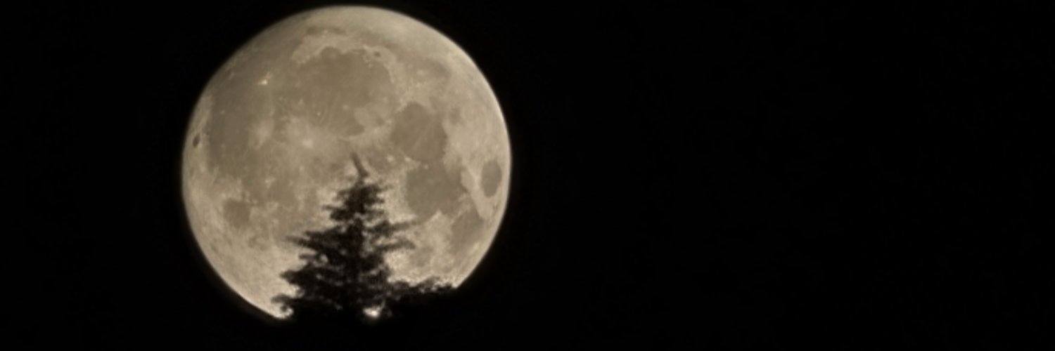 Sebzelidondurma's profile banner image