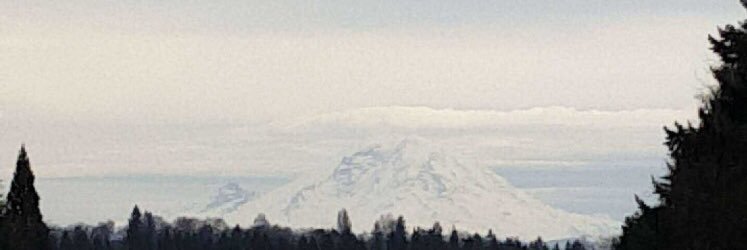 cantle_jon's profile banner image