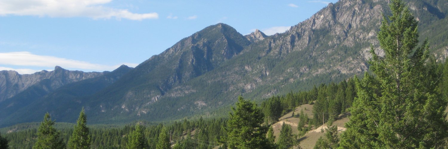 RidgeView Resort banner