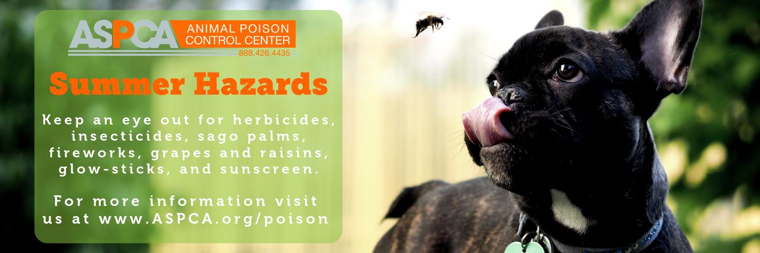 ASPCA Animal Poison Control Center banner