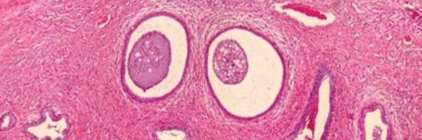 A_barakat93 Profile Banner
