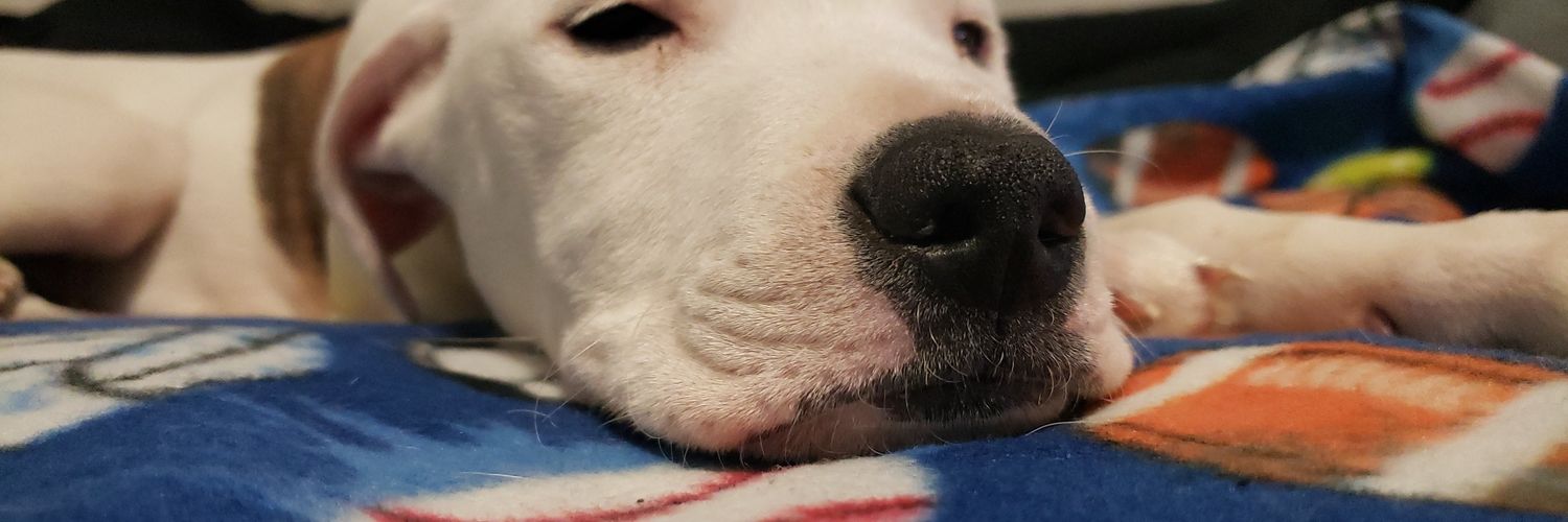 Nuhphin's profile banner image