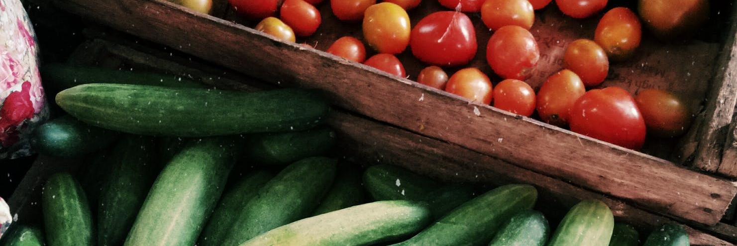 CDE Nutrition banner