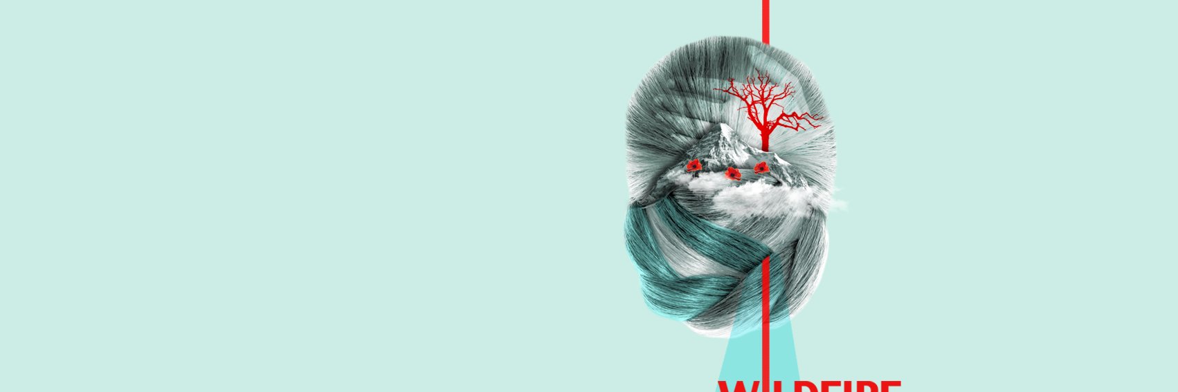 audiencekillers's profile banner image