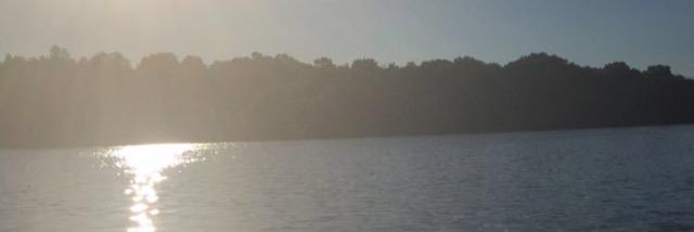 maddipassarella's profile banner image
