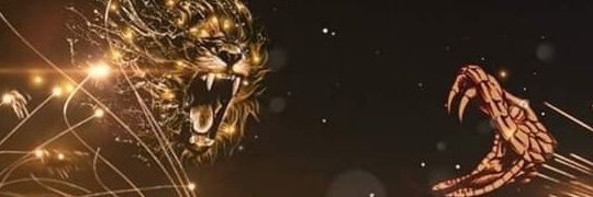 Kobiisis's profile banner image