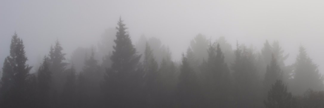 MegGarner_'s profile banner image