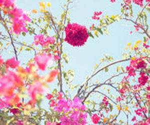 MaryiMv's profile banner image