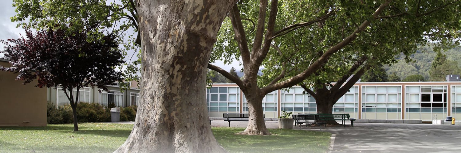 Archie Williams High School banner