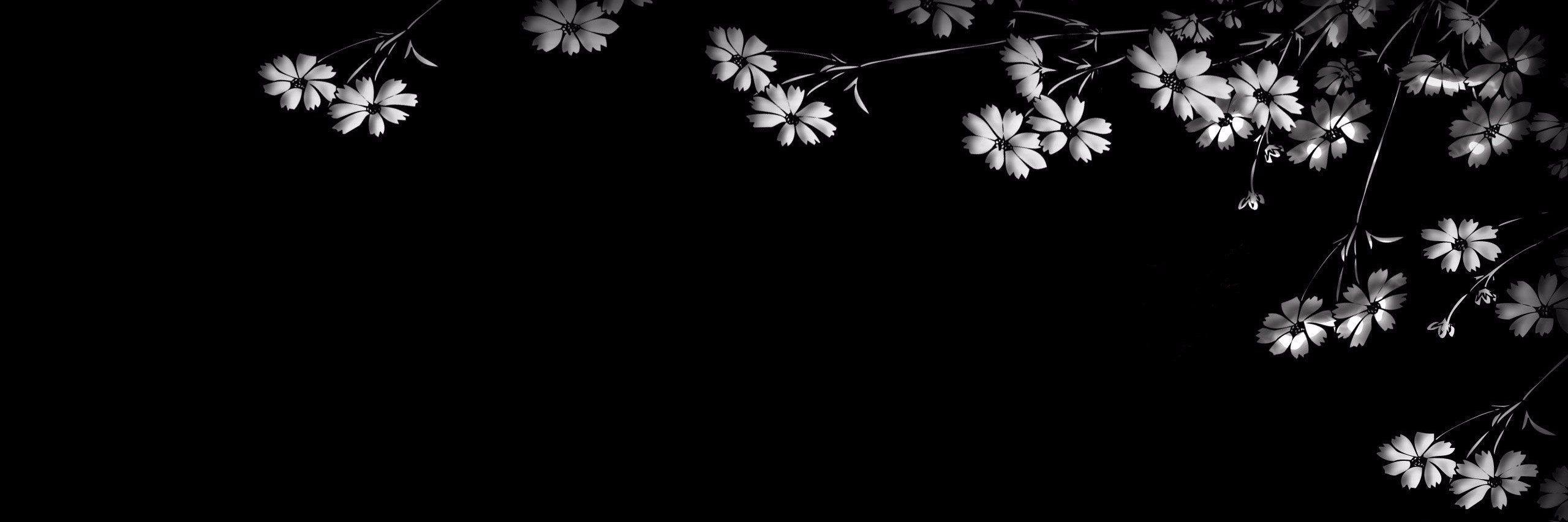 Miss__Beany's profile banner image