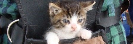 annausova10's profile banner image