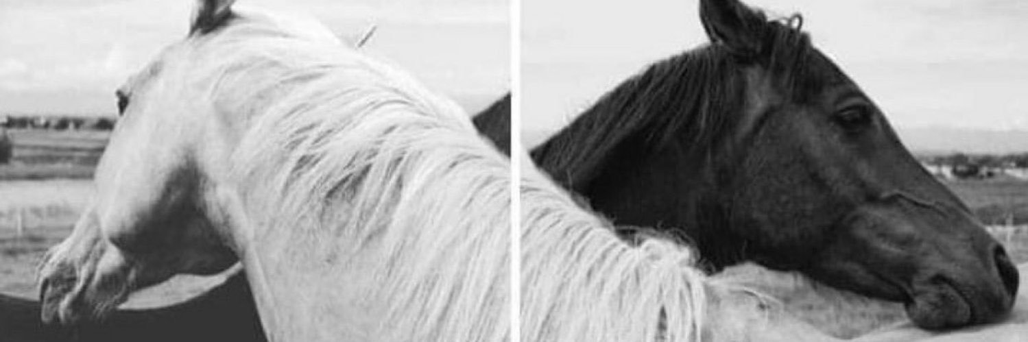 ODE___1's profile banner image