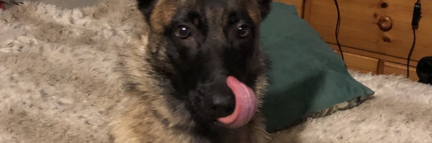 coop_no's profile banner image