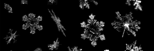 nephologue Profile Banner
