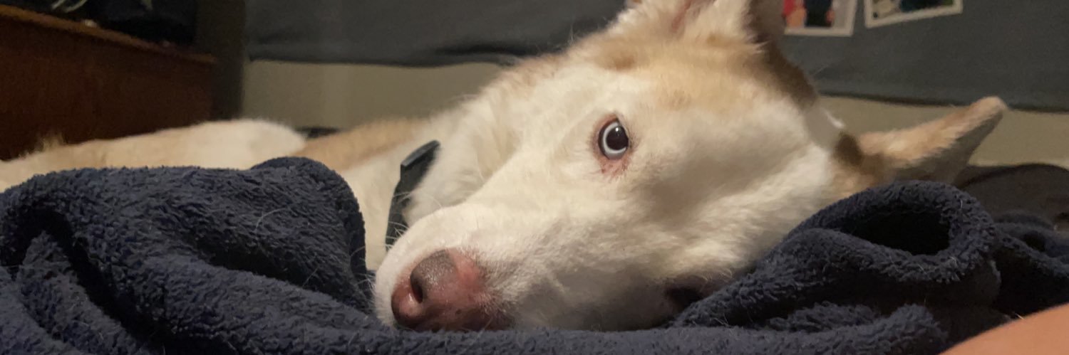 izaiahdavis34's profile banner image