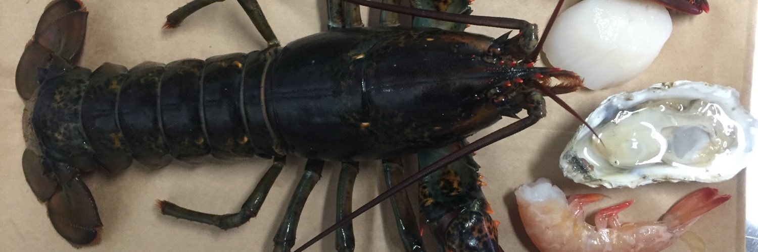 SRLobster's profile banner image