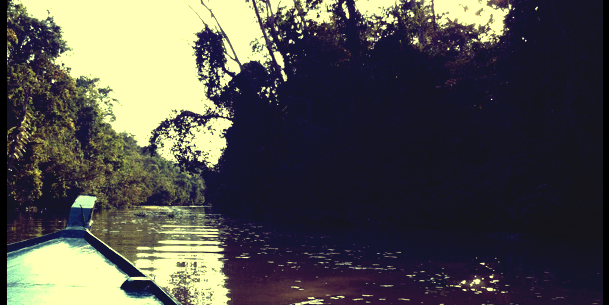 KtKinM's profile banner image