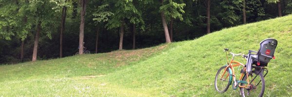 AlineCannesson Profile Banner