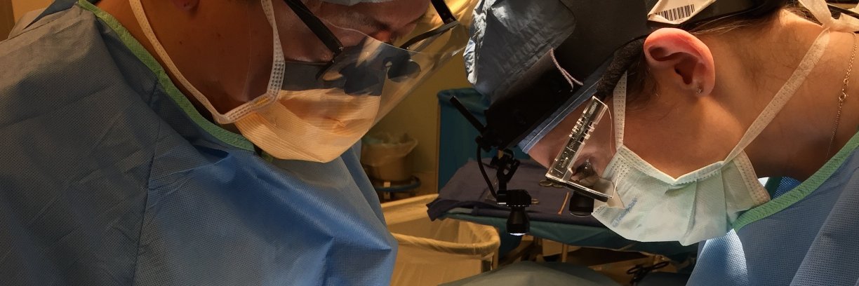 Lorraine Kelley-Quon, MD, MSHS, FACS, FAAP's banner