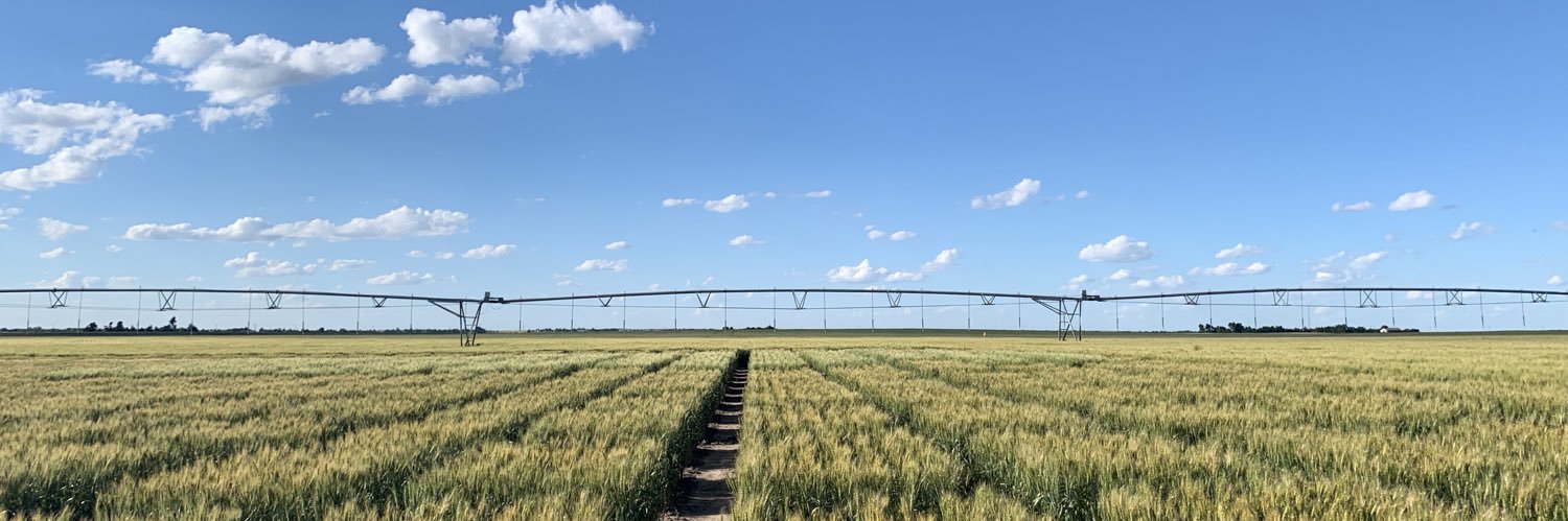 Dr Jessie Alt banner