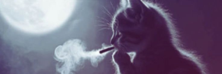 shadowdays20's profile banner image