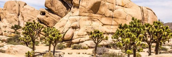 uli_centurion's profile banner image