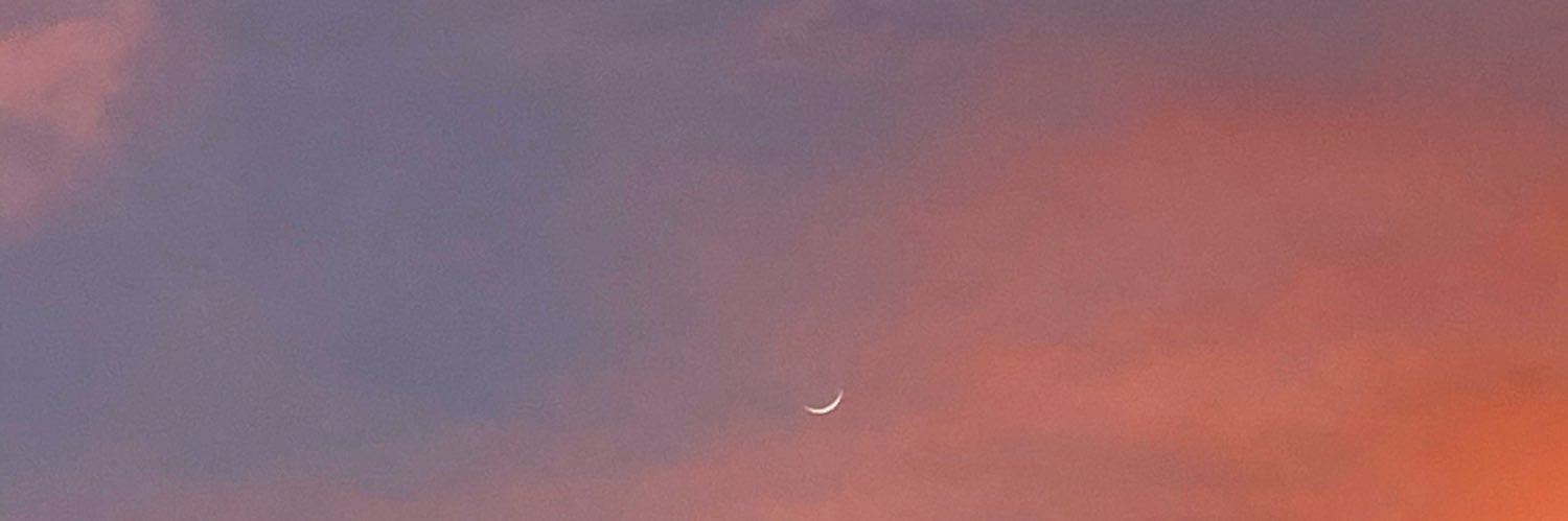 MckennaJamison's profile banner image