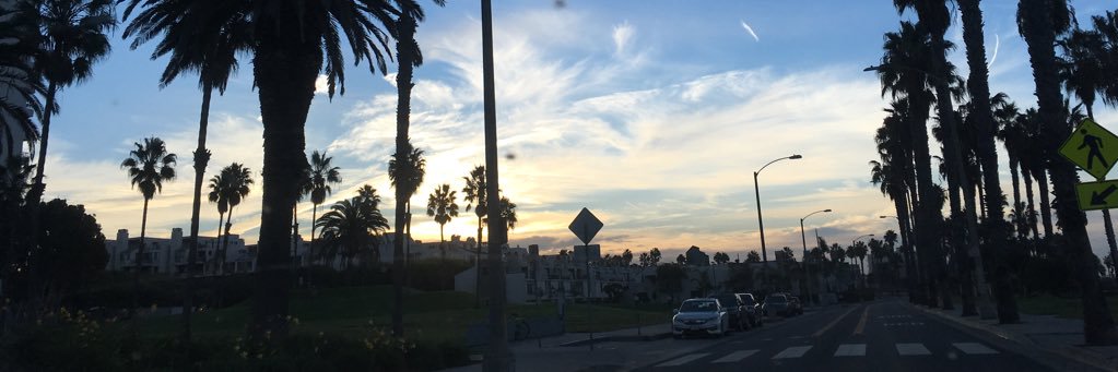 Raygobomb's profile banner image