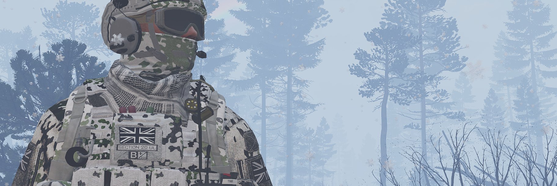 Section 20 Ul banner