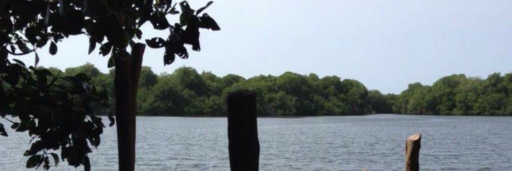 Laura Marcela banner