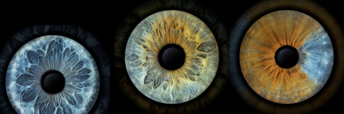 Thomas Salisbury banner