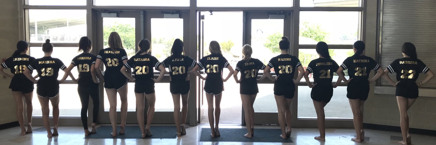 MHHS Varsity Dance banner