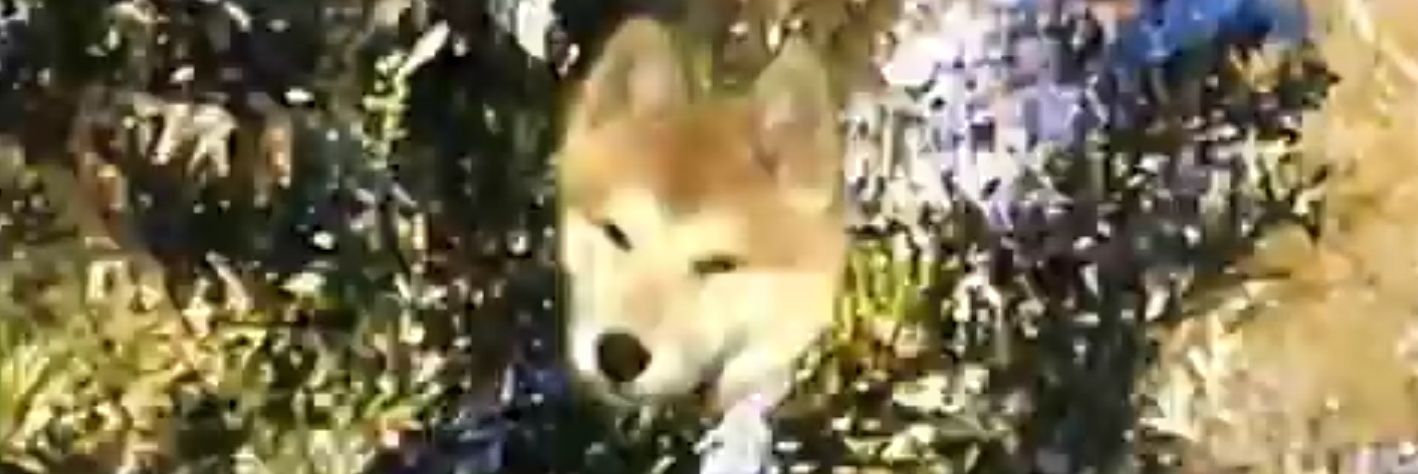 hunforgivable's profile banner image