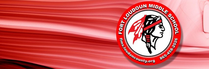 FLMSBraves's profile banner image