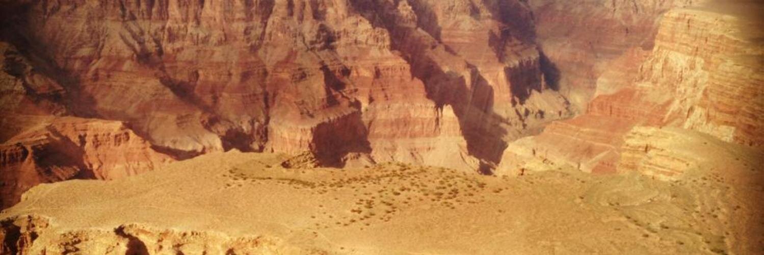 LAmulhall's profile banner image