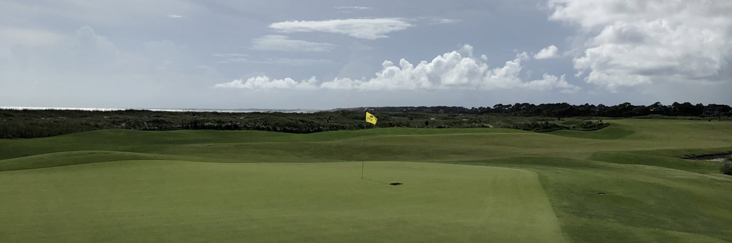 Atticuck Finch banner