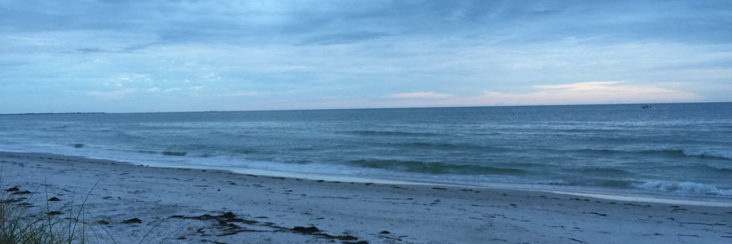 michaelstpetefl's profile banner image
