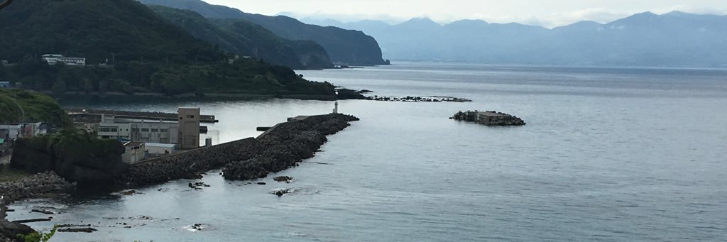 basilpety〜釣り専用🎣 banner