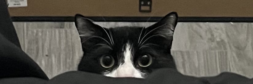 thatguyisaiahh's profile banner image