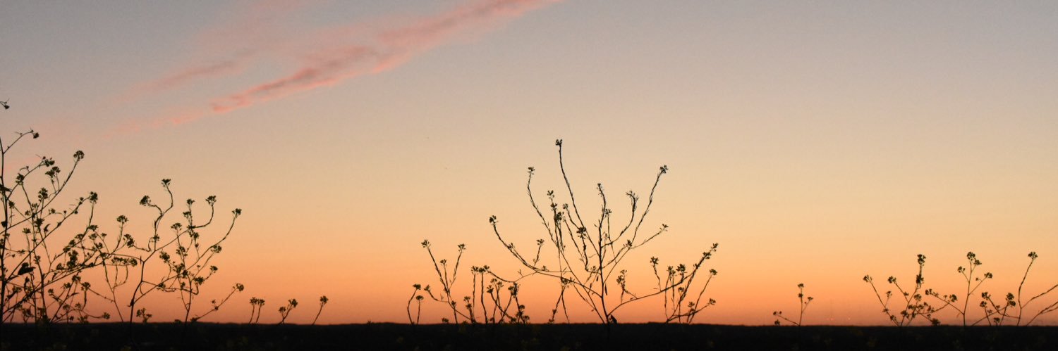 Erin Jonas banner