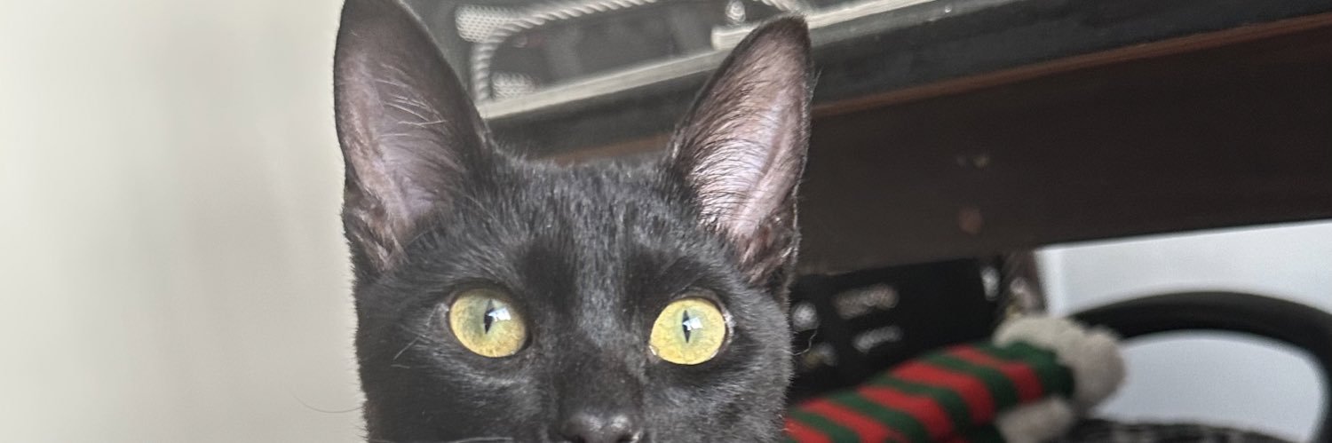 emma_eggg's profile banner image