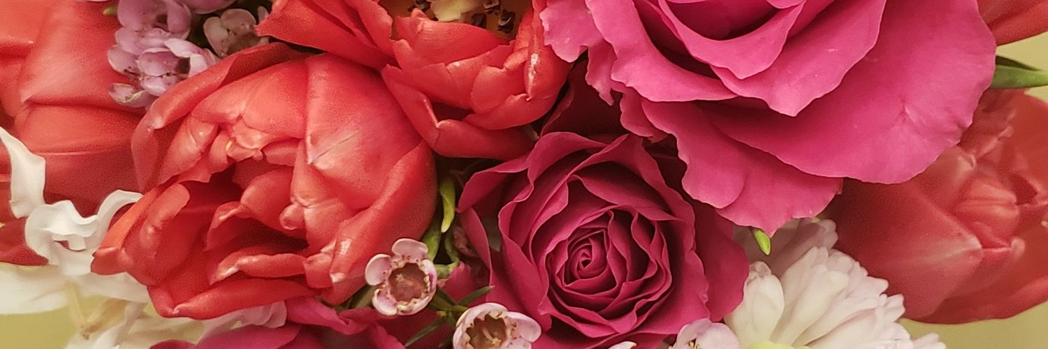 Courtney L Scherr, PhD banner