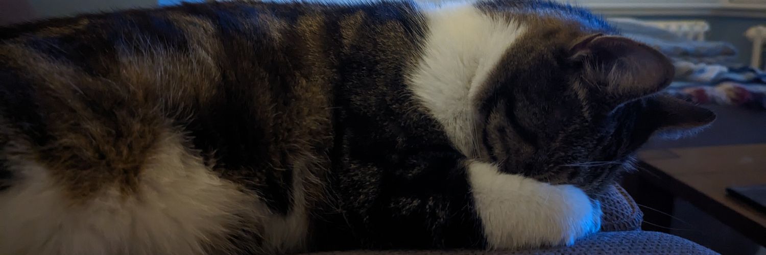 AlisonLThomson's profile banner image