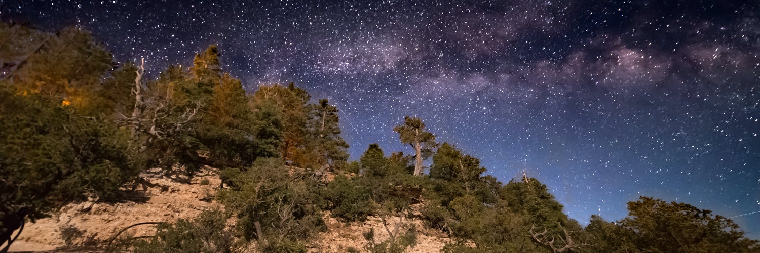dawnolsonaz's profile banner image